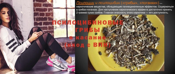 ешки Сосновый Бор