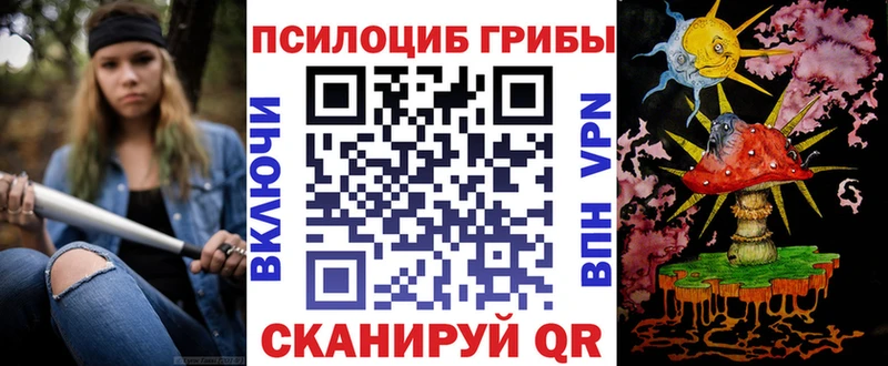 omg ССЫЛКА  Гай  Псилоцибиновые грибы Magic Shrooms 